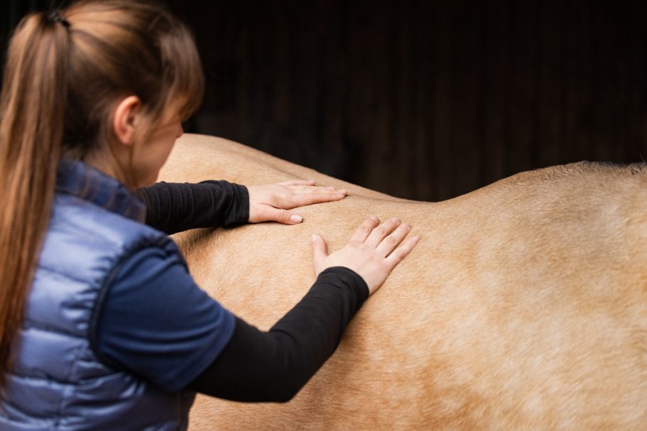 die Hände der Therapeutin liegen auf dem Rücken des Pferdes und sie arbeitet mit der Faszientherapie