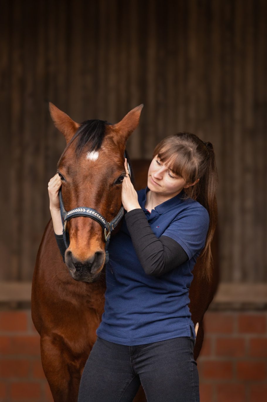 Eine Person umarmt ein braunes Pferd in einem Stall.